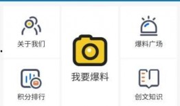 福宝宝最新爆料,最新爆料背后的惊人真相